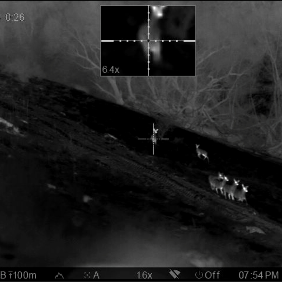 Wild Pro night pest control deer in rifle scope