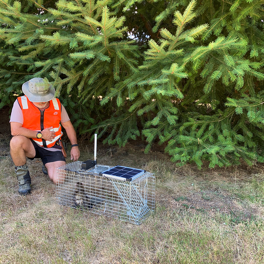 Trap monitoring and control by Wild Pro